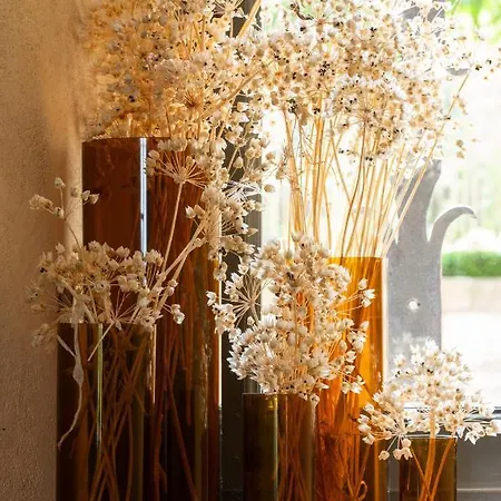 Prieure Saint-nicolas - Les Maisons 4* Blauzac (Gard)