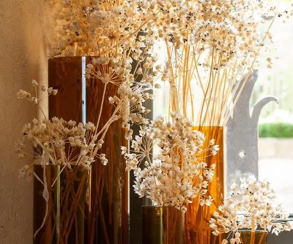 Prieure Saint-nicolas - Les Maisons 4* Blauzac (Gard)